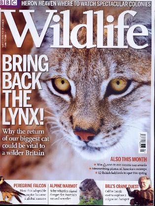 Bbc Wildlife Magazine