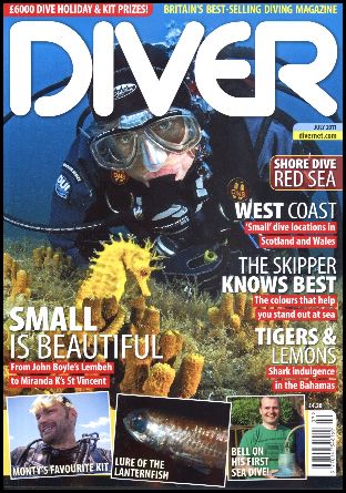 Diver