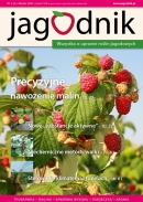 Jagodnik